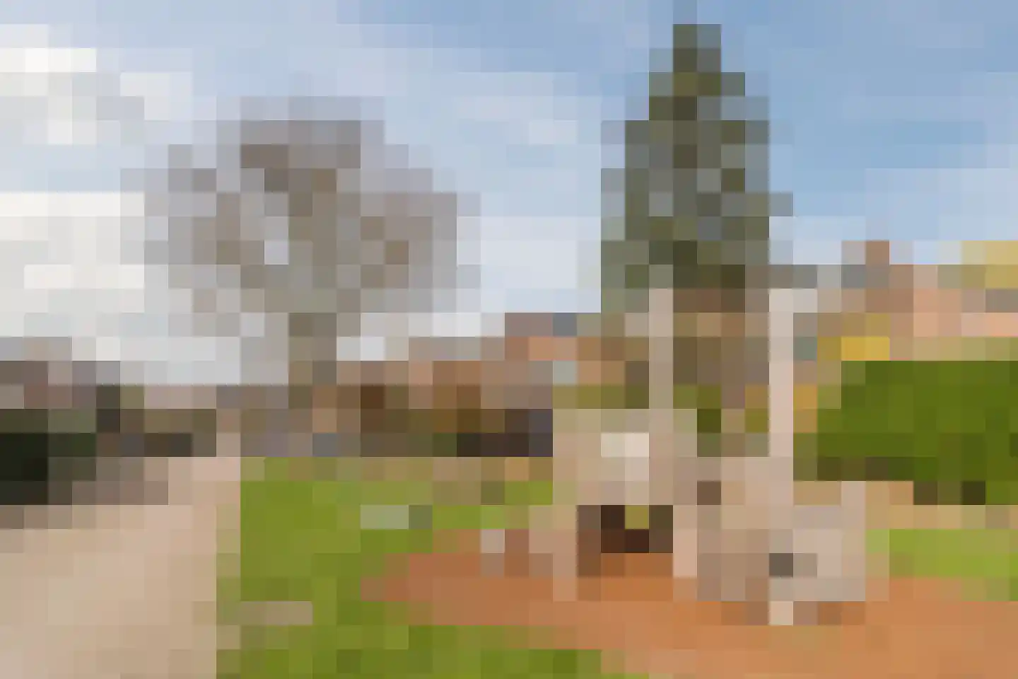de Wilgen 40 Bergschenhoek thumbnail 49