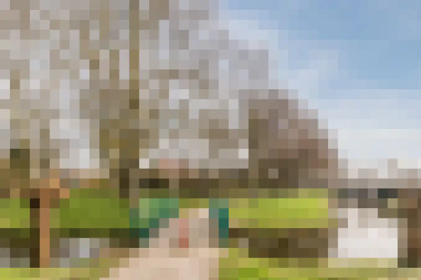 de Wilgen 40 Bergschenhoek thumbnail 51