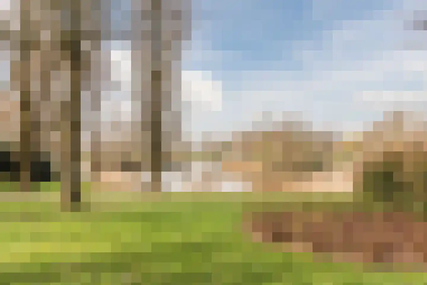 de Wilgen 40 Bergschenhoek thumbnail 52