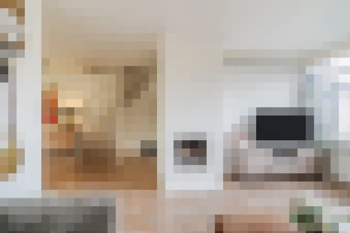 de Wilgen 40 Bergschenhoek thumbnail 6