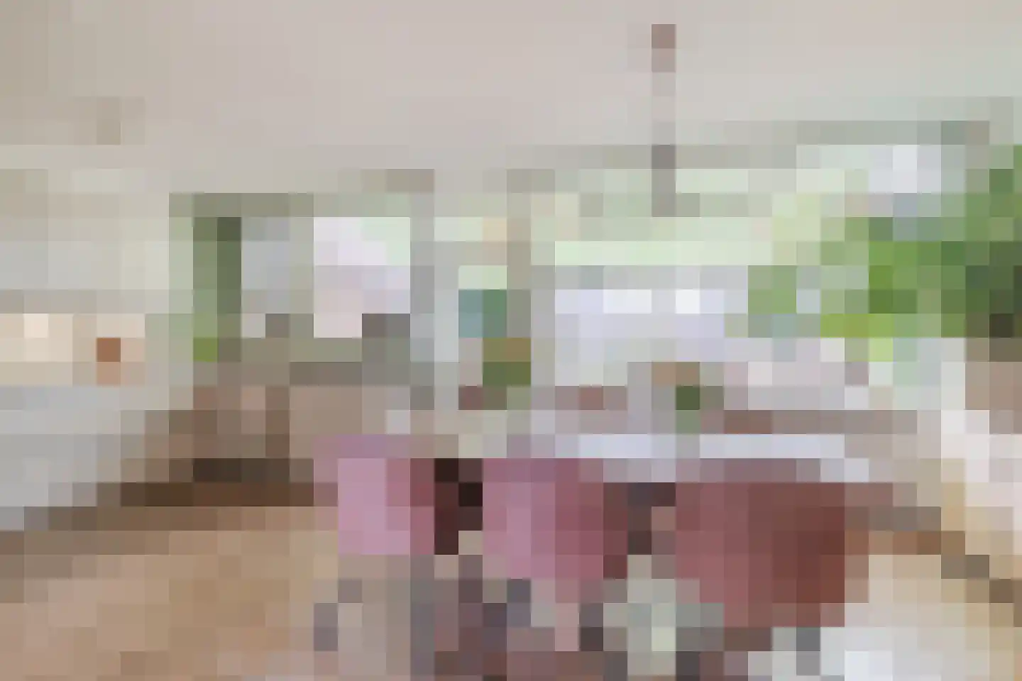 de Wilgen 40 Bergschenhoek thumbnail 7