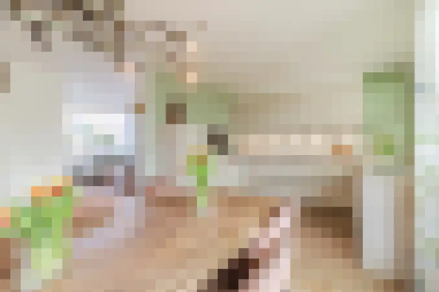 de Wilgen 40 Bergschenhoek thumbnail 9