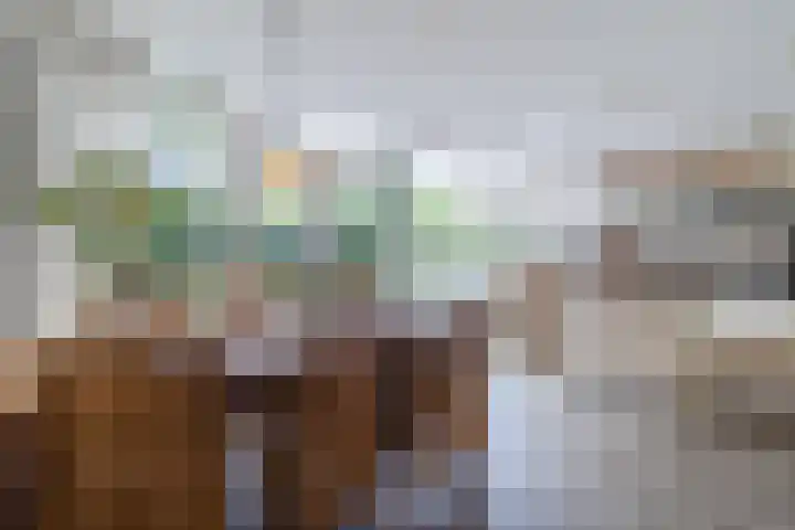 de Wilgen 42 Bergschenhoek thumbnail 10