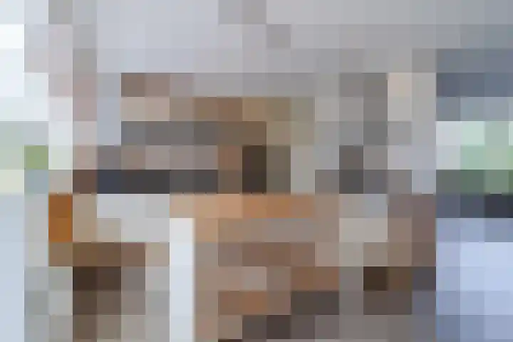 de Wilgen 42 Bergschenhoek thumbnail 12