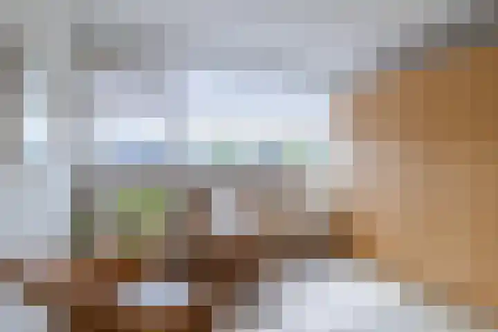 de Wilgen 42 Bergschenhoek thumbnail 21