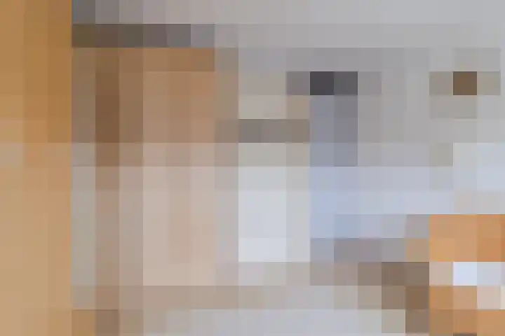 de Wilgen 42 Bergschenhoek thumbnail 22
