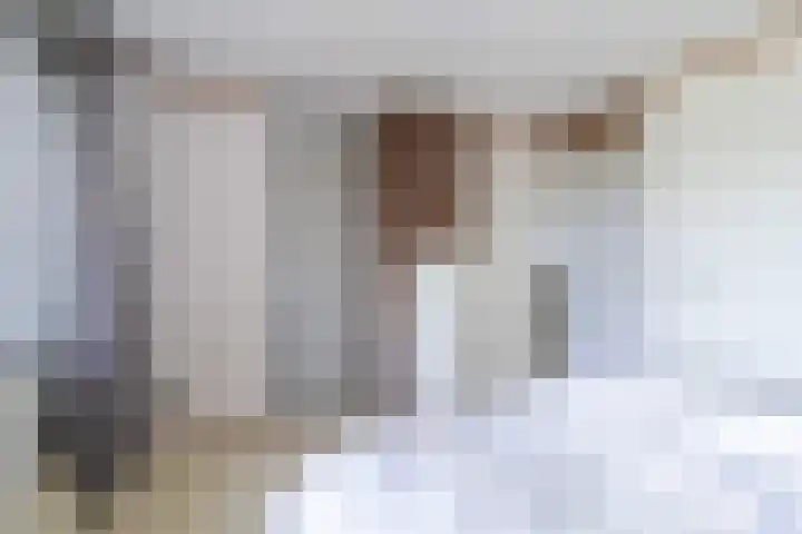 de Wilgen 42 Bergschenhoek thumbnail 25