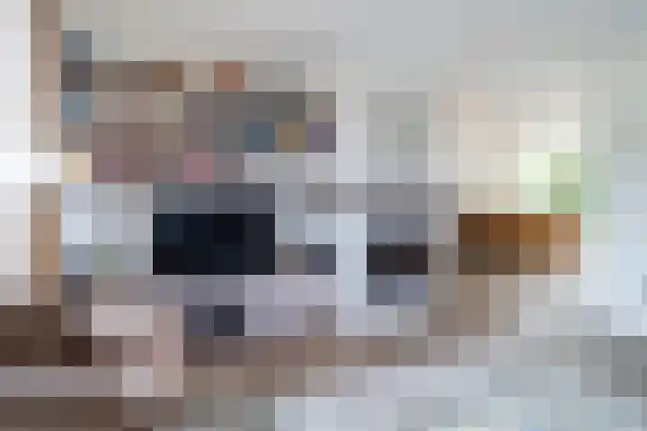de Wilgen 42 Bergschenhoek thumbnail 4