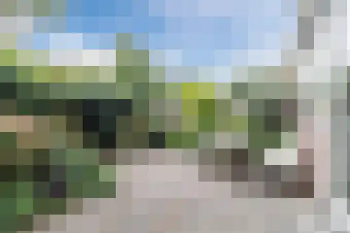 de Wilgen 42 Bergschenhoek thumbnail 40