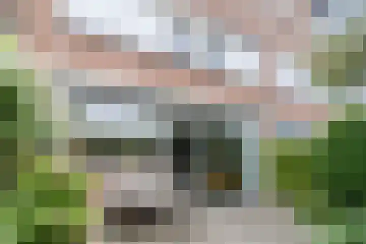 de Wilgen 42 Bergschenhoek thumbnail 42