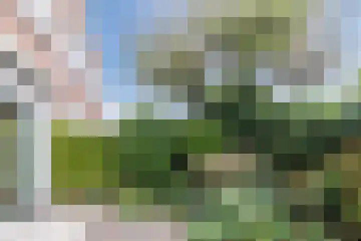 de Wilgen 42 Bergschenhoek thumbnail 43