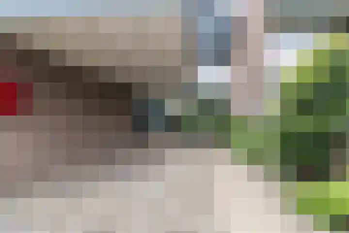 de Wilgen 42 Bergschenhoek thumbnail 44