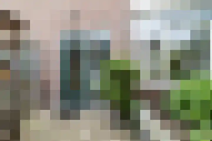 de Wilgen 42 Bergschenhoek thumbnail 45