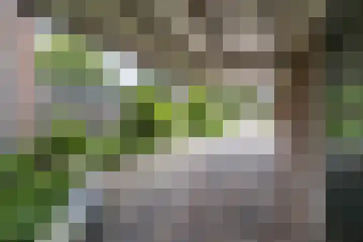 de Wilgen 42 Bergschenhoek thumbnail 46