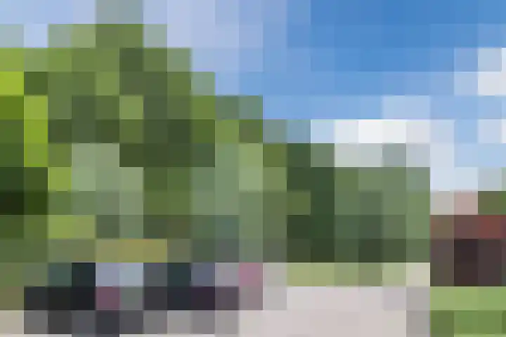 de Wilgen 42 Bergschenhoek thumbnail 50