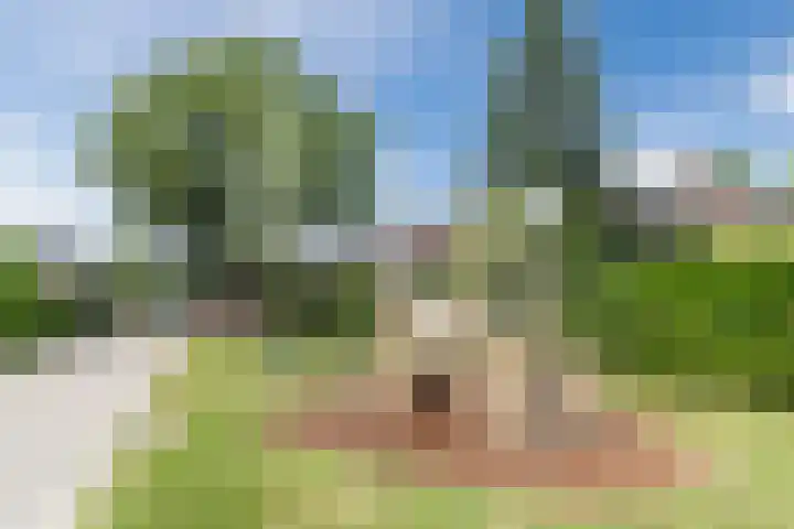 de Wilgen 42 Bergschenhoek thumbnail 51