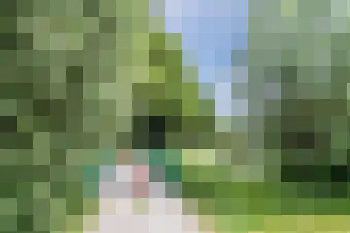 de Wilgen 42 Bergschenhoek thumbnail 52