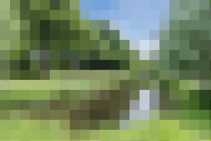 de Wilgen 42 Bergschenhoek thumbnail 53