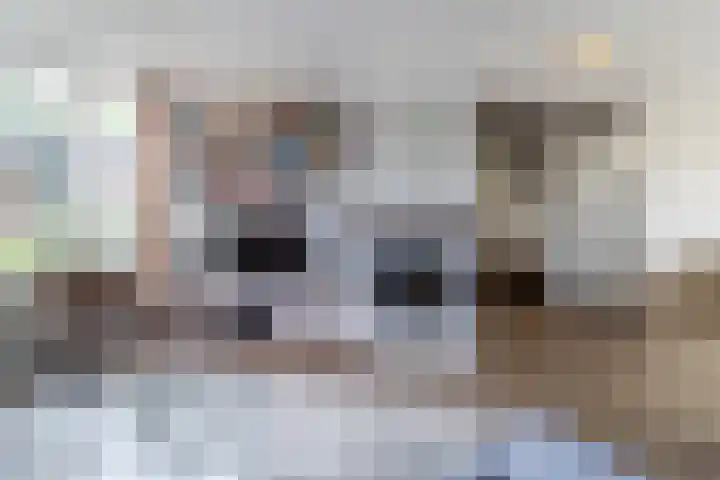 de Wilgen 42 Bergschenhoek thumbnail 7