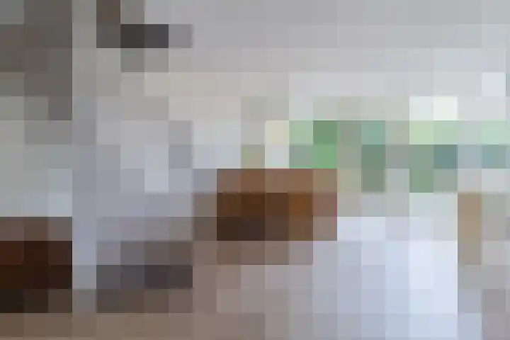 de Wilgen 42 Bergschenhoek thumbnail 8