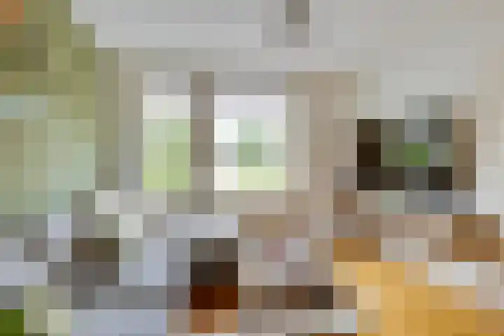 De Wilgen 42 Boekel thumbnail 17