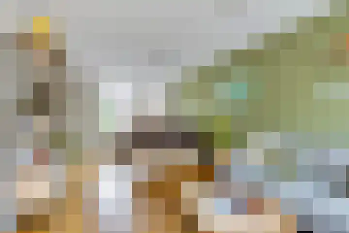 De Wilgen 42 Boekel thumbnail 18