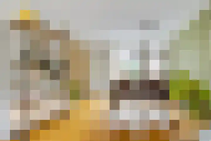 De Wilgen 42 Boekel thumbnail 19