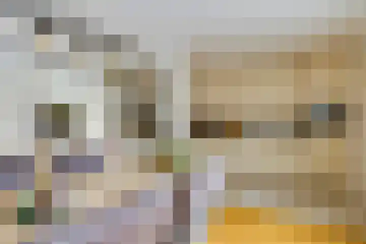 De Wilgen 42 Boekel thumbnail 22