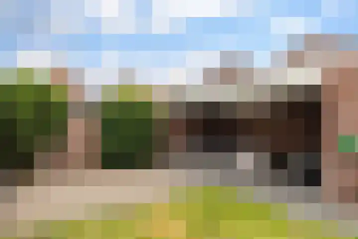 De Wilgen 42 Boekel thumbnail 36