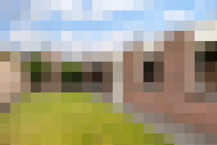 De Wilgen 42 Boekel thumbnail 37
