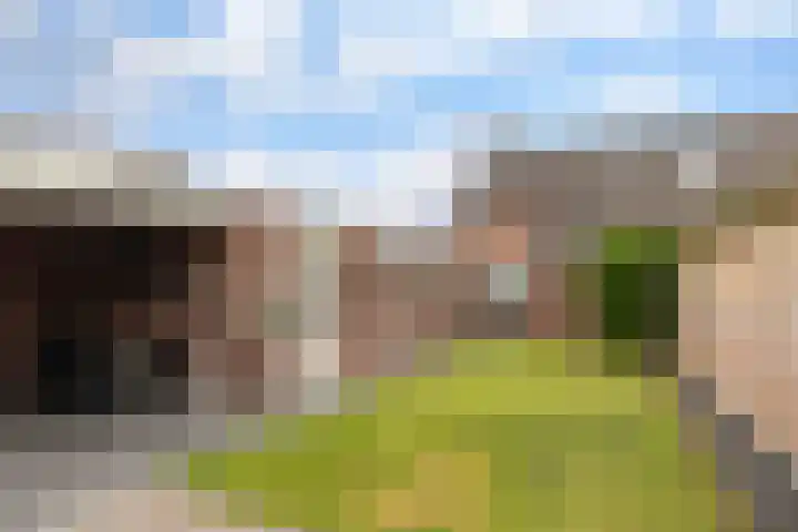 De Wilgen 42 Boekel thumbnail 38