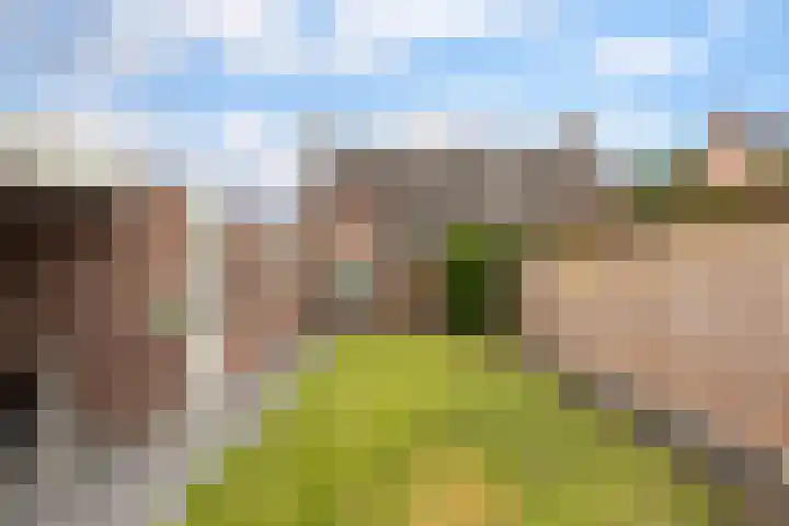 De Wilgen 42 Boekel thumbnail 39