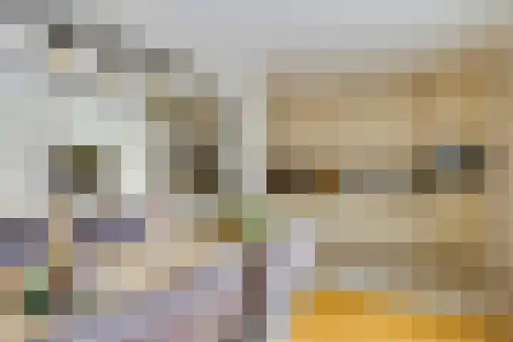 De Wilgen 42 Boekel thumbnail 4