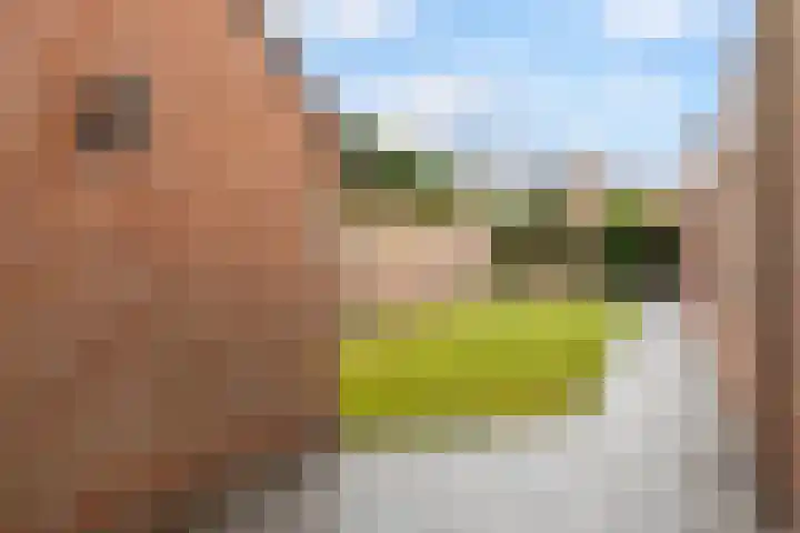 De Wilgen 42 Boekel thumbnail 40
