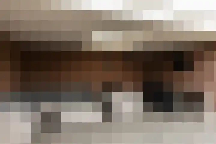 De Wilgen 42 Boekel thumbnail 43
