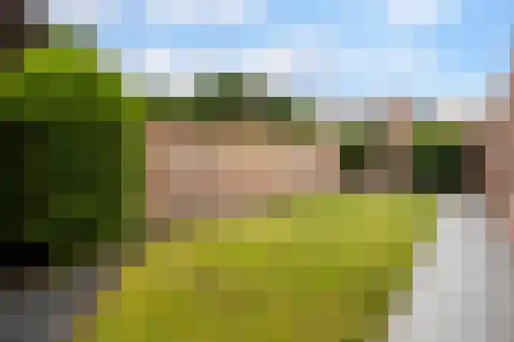 De Wilgen 42 Boekel thumbnail 6