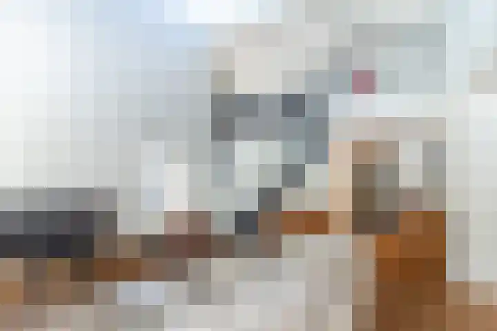 de Wilgen 5 Bergschenhoek thumbnail 10