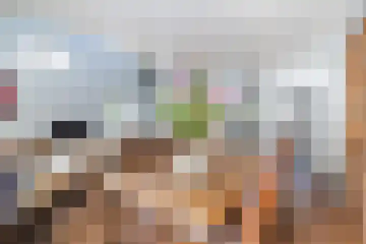 de Wilgen 5 Bergschenhoek thumbnail 11