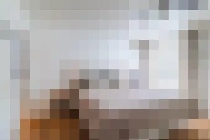 de Wilgen 5 Bergschenhoek thumbnail 20
