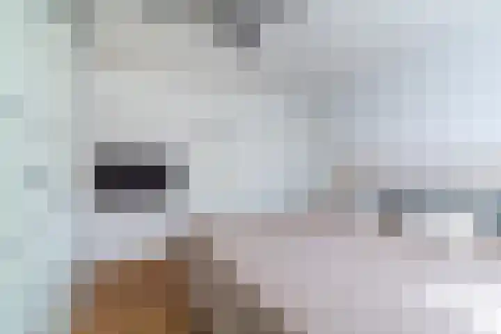 de Wilgen 5 Bergschenhoek thumbnail 21
