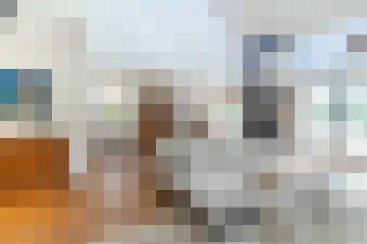 de Wilgen 5 Bergschenhoek thumbnail 4