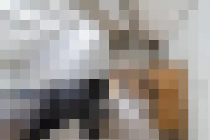 de Wilgen 5 Bergschenhoek thumbnail 40