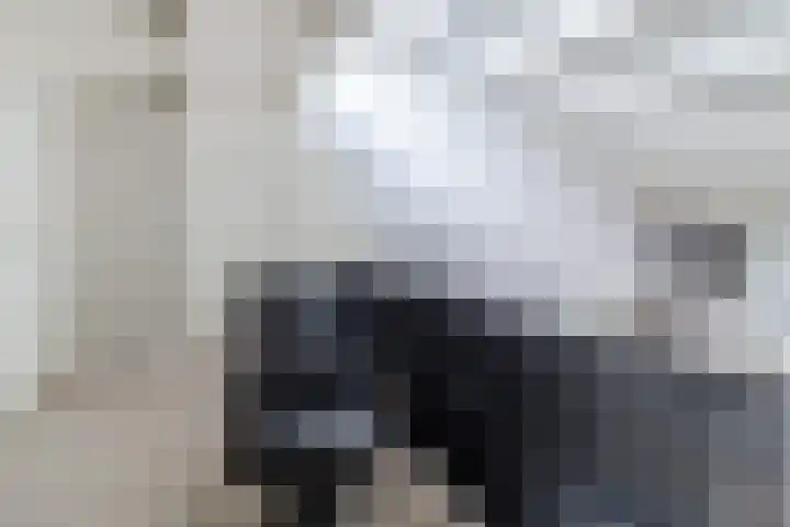 de Wilgen 5 Bergschenhoek thumbnail 41