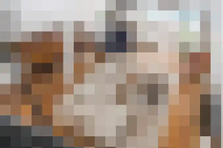 de Wilgen 5 Bergschenhoek thumbnail 42
