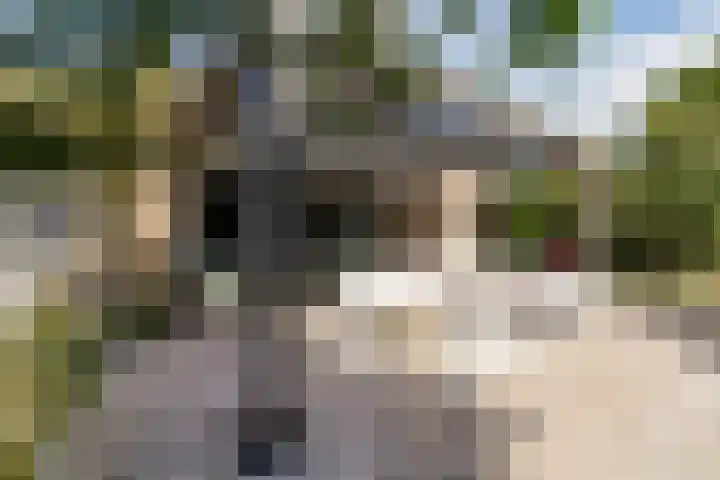 de Wilgen 5 Bergschenhoek thumbnail 46