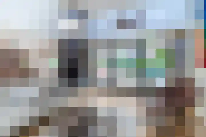 de Wilgen 5 Bergschenhoek thumbnail 5