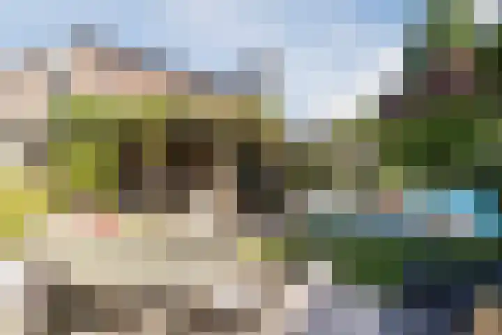 de Wilgen 5 Bergschenhoek thumbnail 52