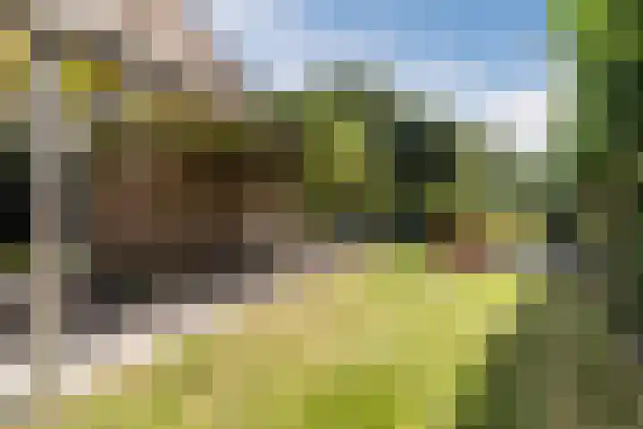 de Wilgen 5 Bergschenhoek thumbnail 53