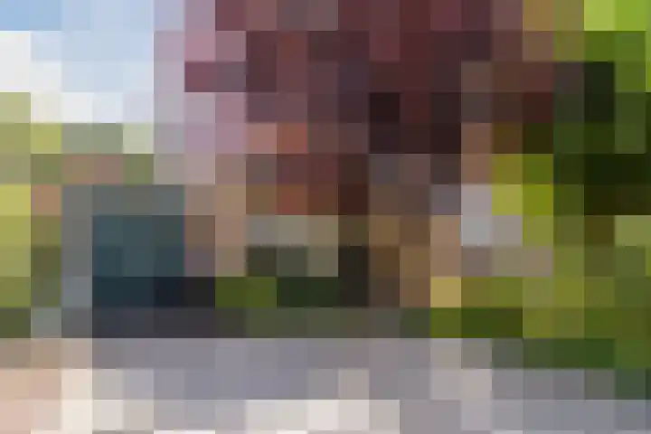 de Wilgen 5 Bergschenhoek thumbnail 57