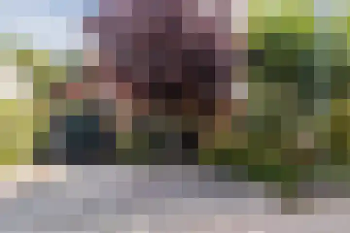de Wilgen 5 Bergschenhoek thumbnail 58